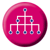 network.gif (2096bytes)